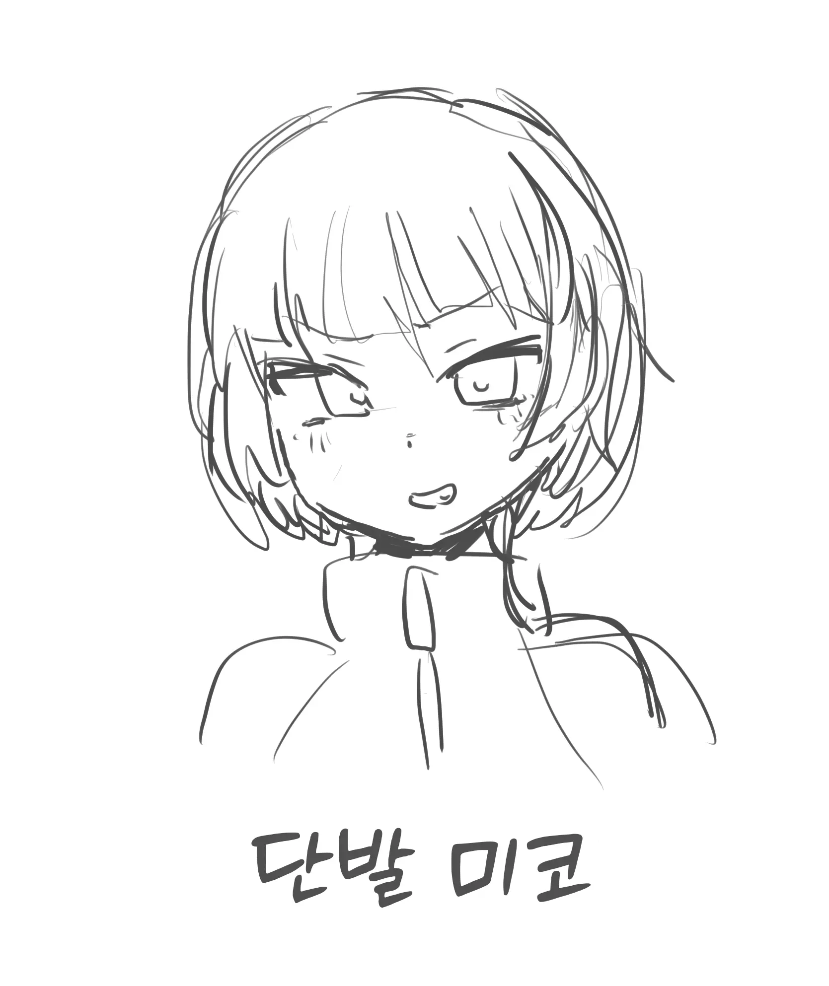 미코 팬박스 모음